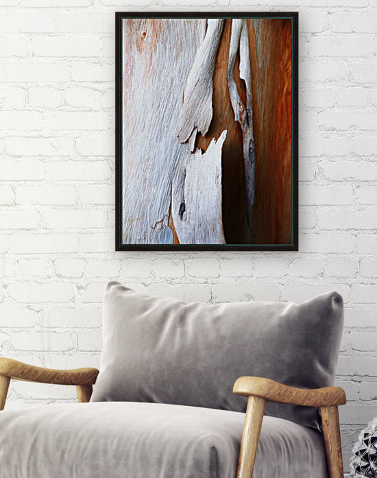 Salmon Gum Tree Bark 5 by Lexa Harpell