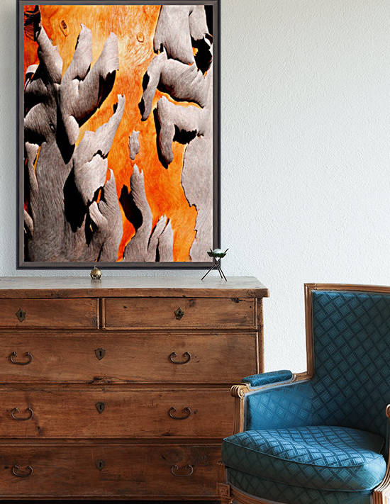 Salmon Gum Tree Bark 6 by Lexa Harpell