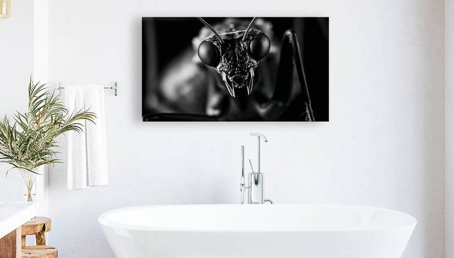 Carbon Dreams  1 by The Mabazza Foundation 