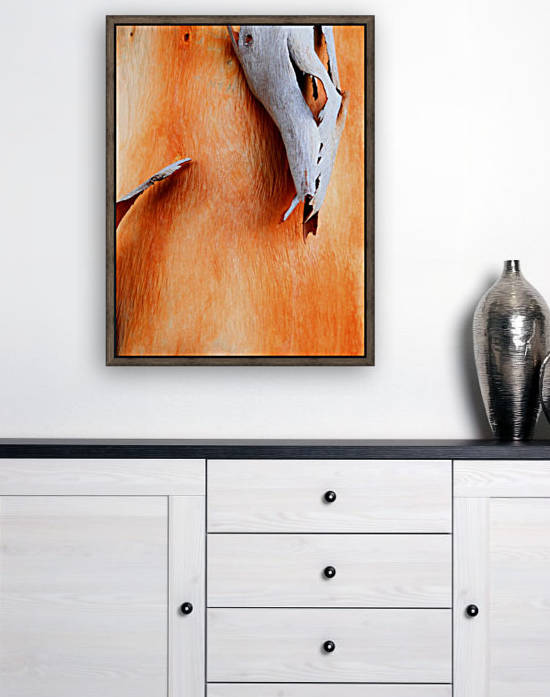 Salmon Gum Tree Bark 7 by Lexa Harpell