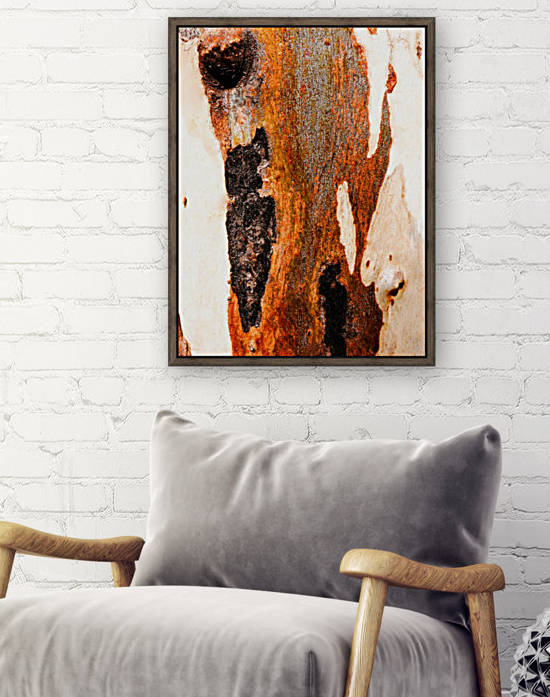 Aussie Gum Tree Bark - 23 by Lexa Harpell