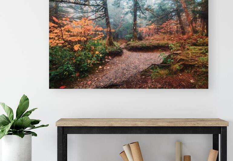 Appalachian Trail Wall Art | Clingman’s Dome Scenic Path by Vivien Salas