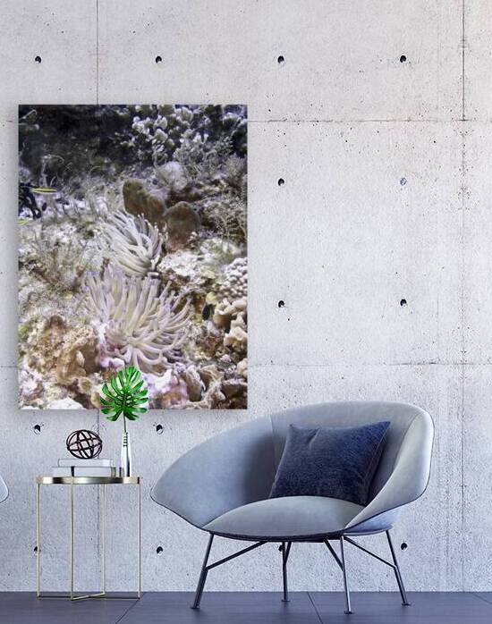 Download by DeepEarth Photography