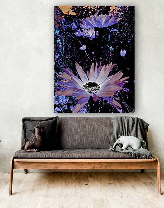 Cool Rocking Surreal Daises  by Catriona Roberts Nature Photography and Designs