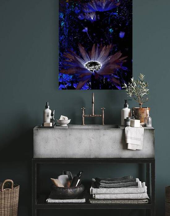 Abstract Vivid Cool Rocking Daises by Catriona Roberts Nature Photography and Designs