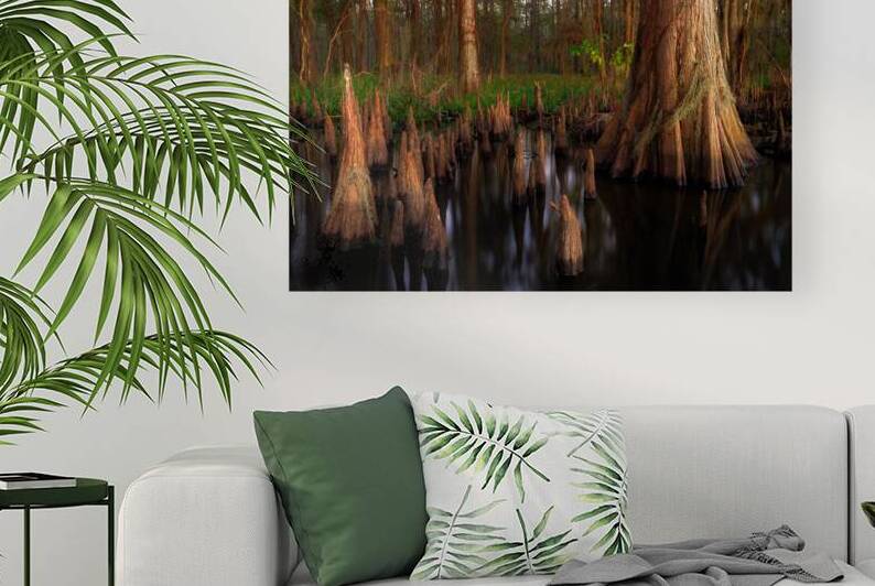 Morning Grace by Andy Crawford