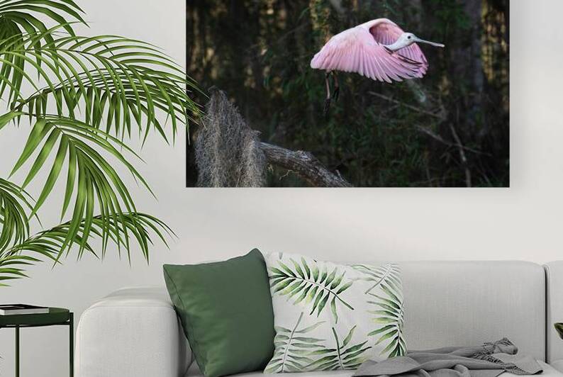 Cupped by Andy Crawford