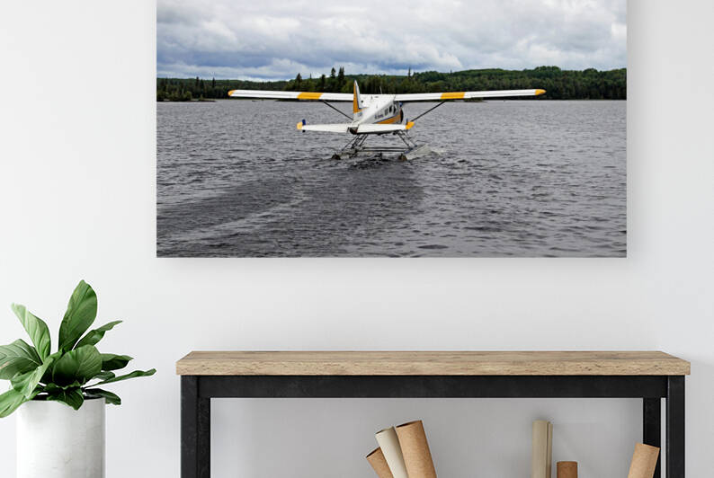 Beaver Bush Plane by Deb Oppermann