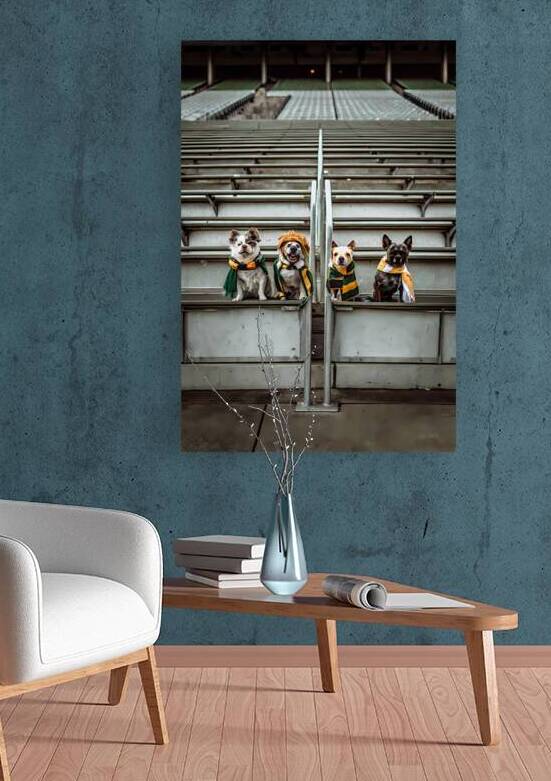 Dog and Cat Football Fun Vibrant Jerseys Global Flags by ClikChik