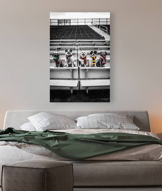 Dog and Cat Football Fun Vibrant Jerseys Global Flags by ClikChik