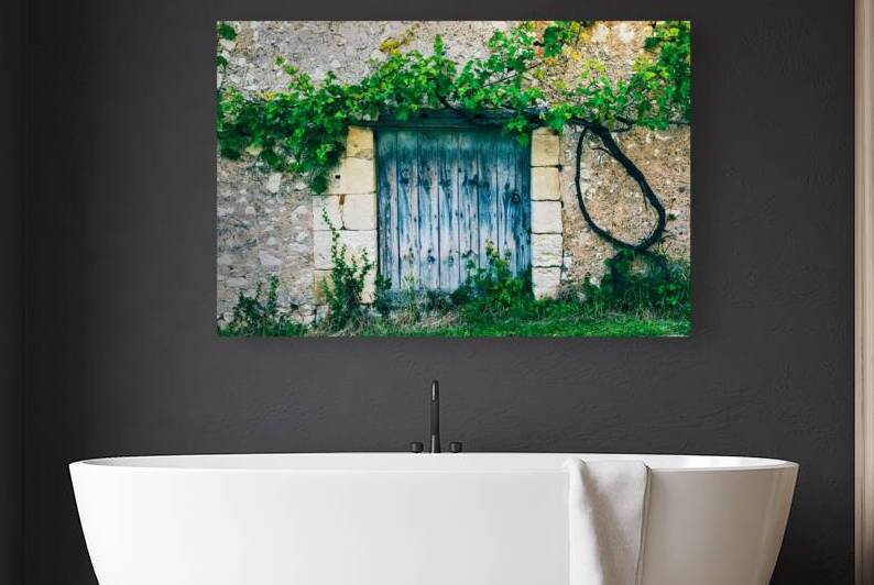 Old door with vine by DELPHIMAGES