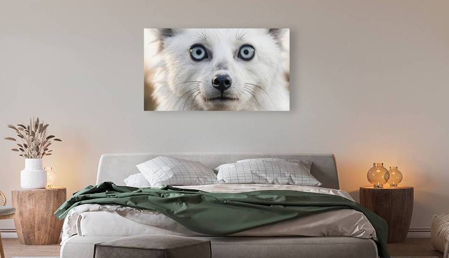 White Flora Fauna and Fabric Dream of Matisse 31 by The Mabazza Foundation 