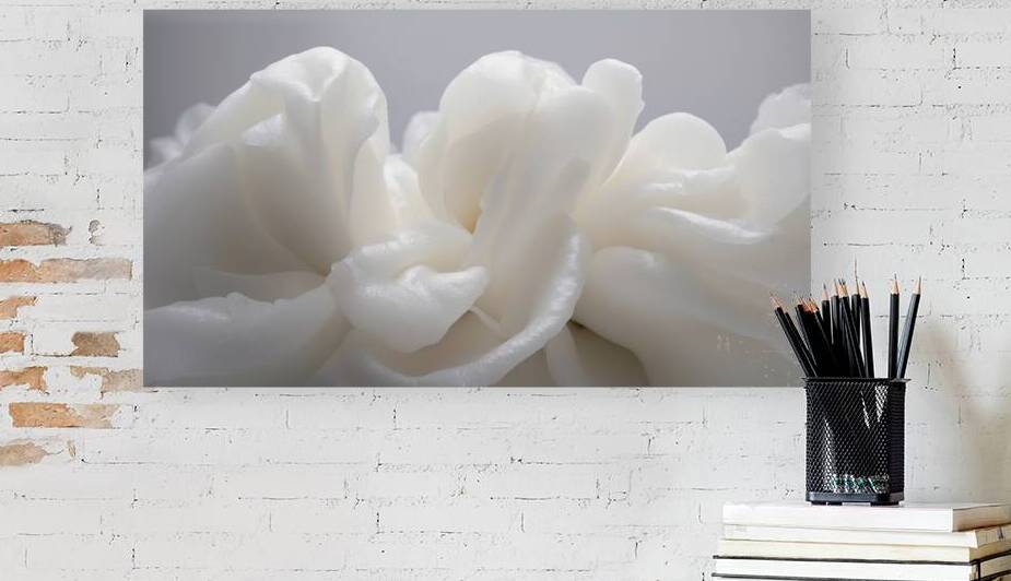 White Flora Fauna and Fabric Dream of Matisse 34 by The Mabazza Foundation 