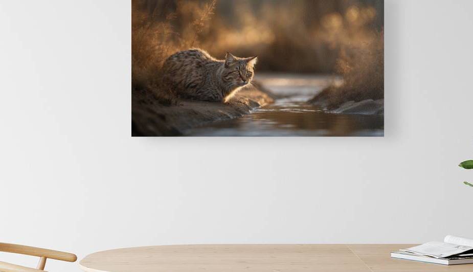  Dream of Matisse A Nature Series  1 by The Mabazza Foundation 