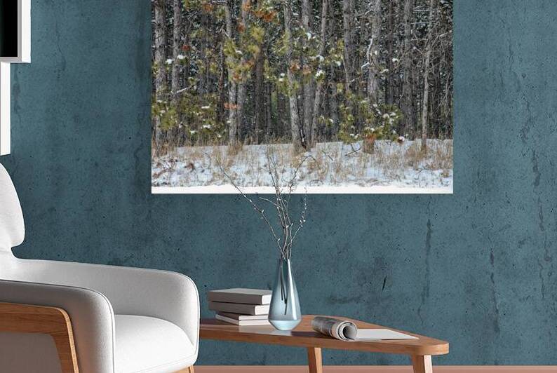 bottoms up by Thea Menagh