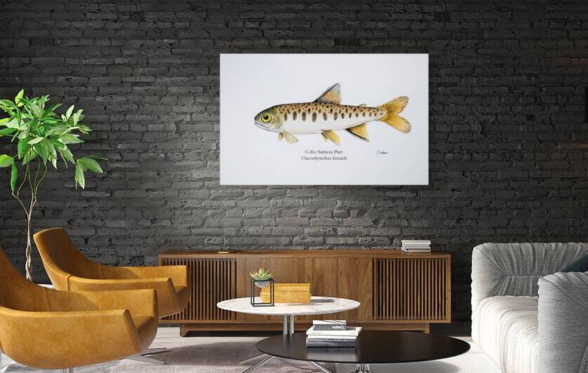 Coho Parr Painting by Stephen Emms