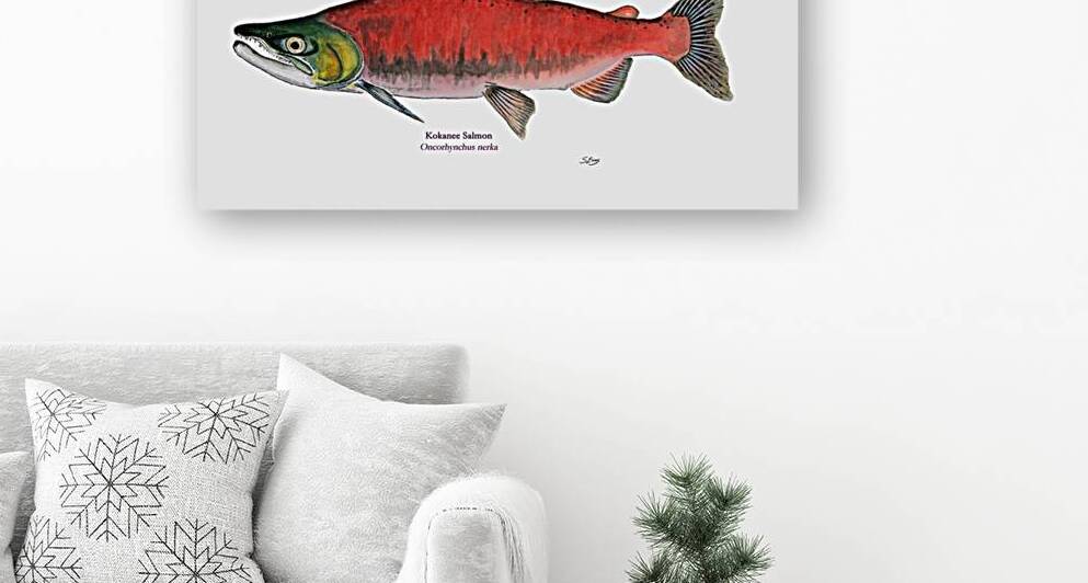 Kokanee Salmon Painting by Stephen Emms