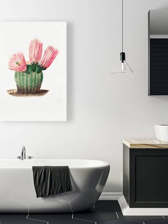 Rainbow Cactus by Balaram Giri