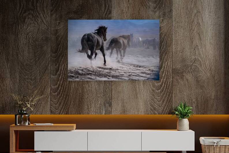 BZ9 0149 Enhanced NR by Susan Lynn Cooke