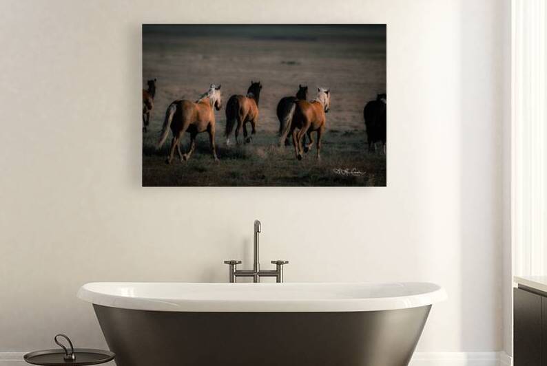 BZ9 9909 Enhanced NR by Susan Lynn Cooke