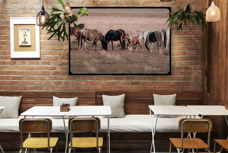 BZ9 9416 Enhanced NR by Susan Lynn Cooke