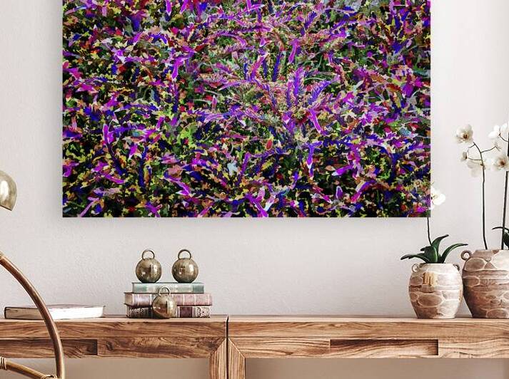 Vibrant watercolor illustration of a Calico plant in a garden setting by Gestalt Imagery