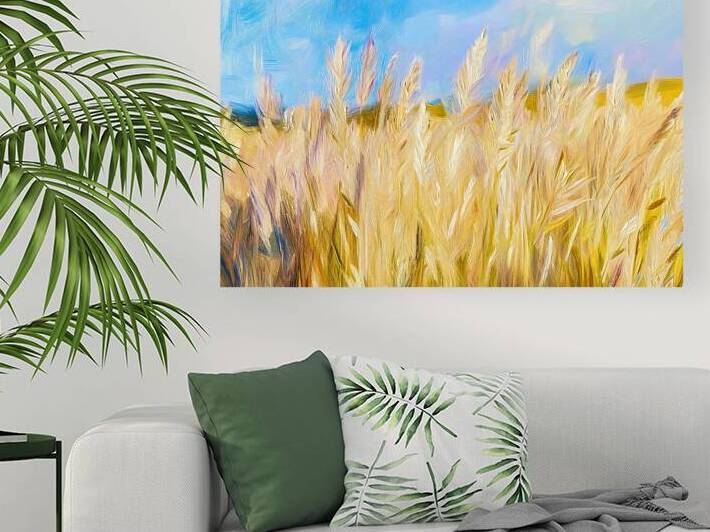 Wheat Field by Travelling Light