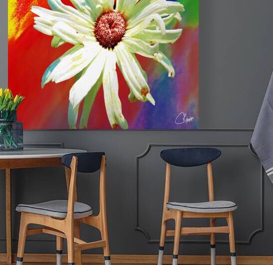 Abstract Vibrant Daisy Flower on an Abstract Background by Catriona Roberts Nature Photography and Designs