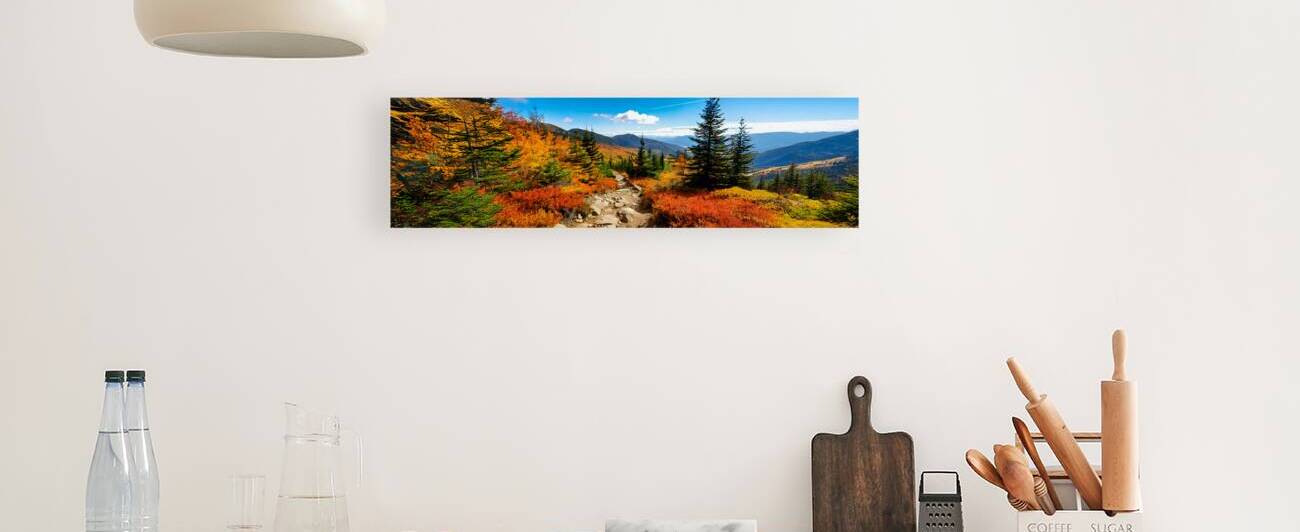 A Rocky Hiking Mountain Trail by Frank Wilson