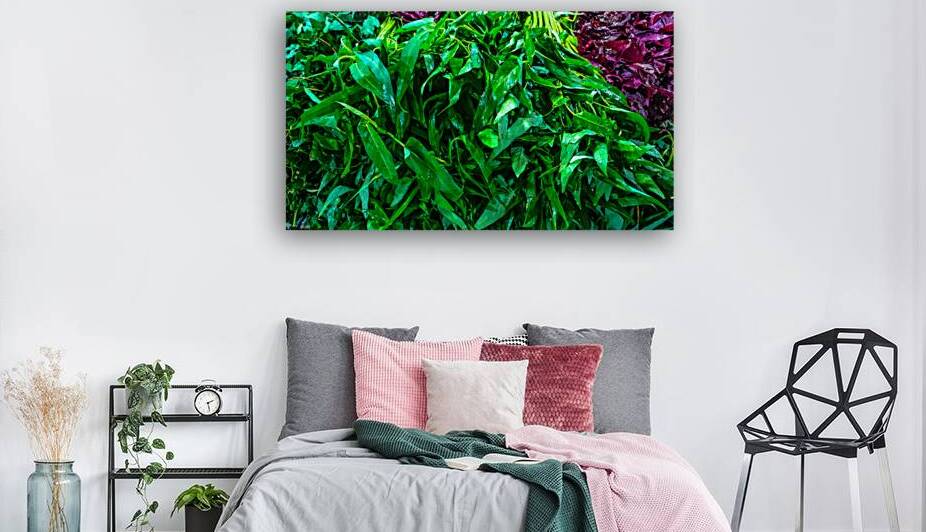 Freshly Harvested Green Vegetables by urbancamshot