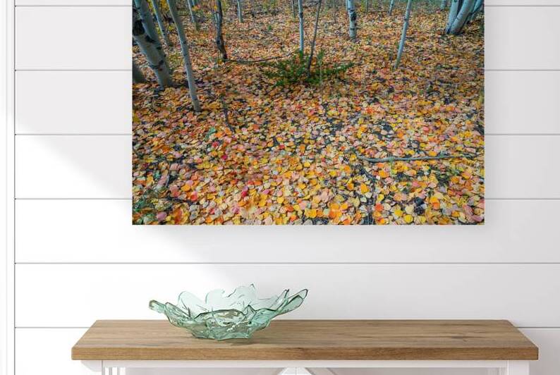 Art By Mother Nature by Bo Insogna