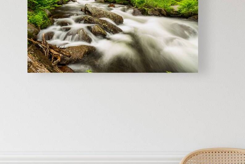 Roosevelt National Forest Stream by Bo Insogna