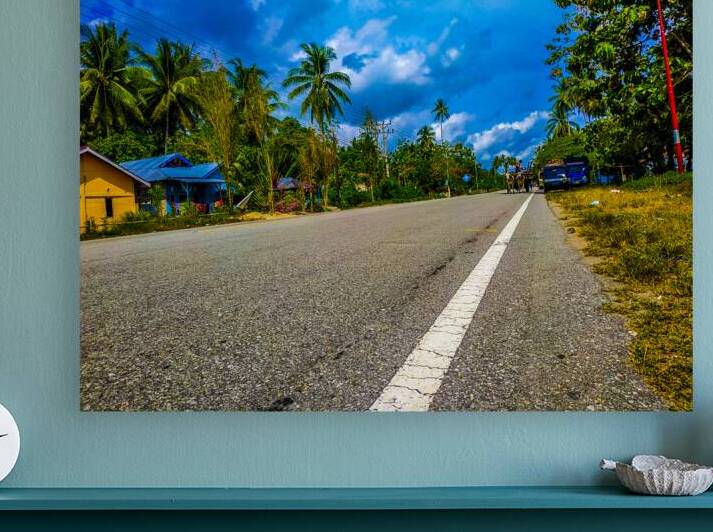 Rural Road with Palm Trees and Colorful Houses by urbancamshot