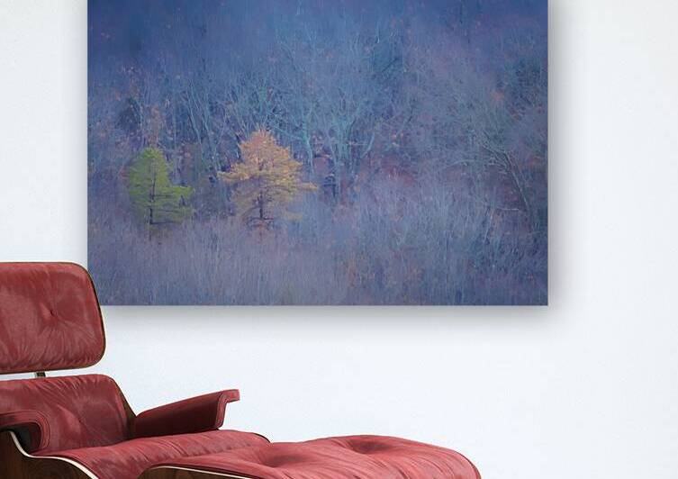 Dreamscape of Bare Branches in Winter by Jeff Folger