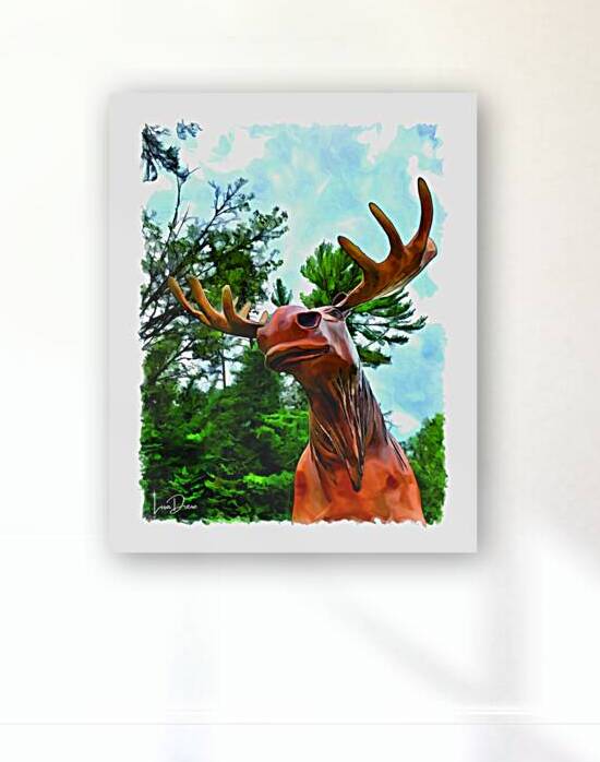 Minnesota Moose by Lisa Drew