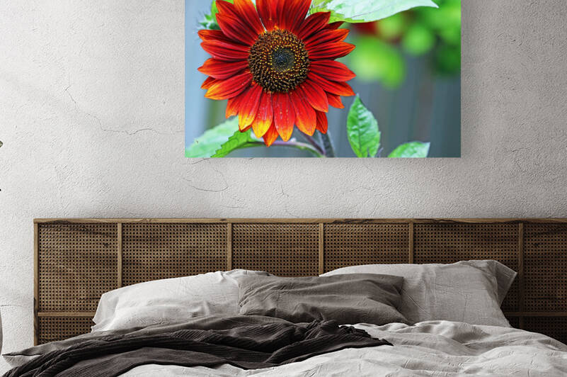 Autumn Beauty by Deb Oppermann