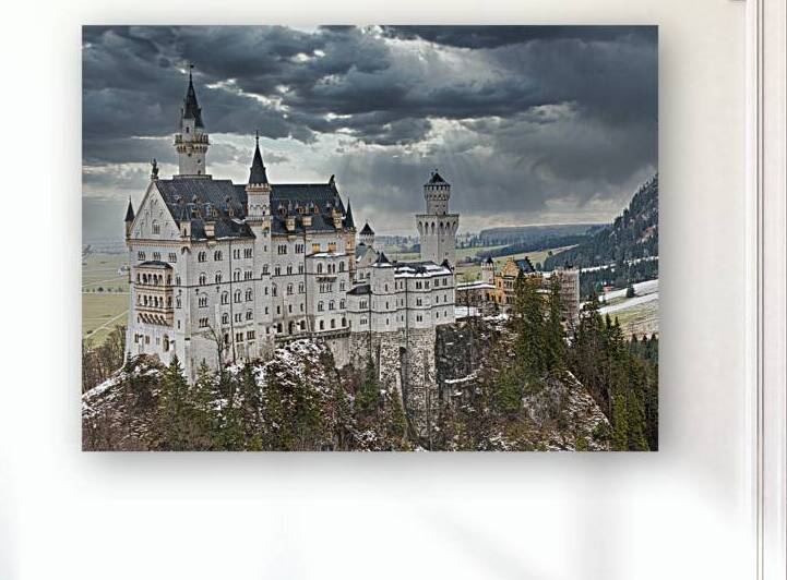 TLR 2348 new 2nd by TLR