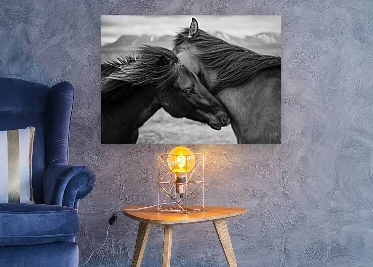 Wild Icelandic Horses by Dave Bowman