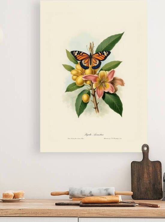 Butterfly by MinArtStudios