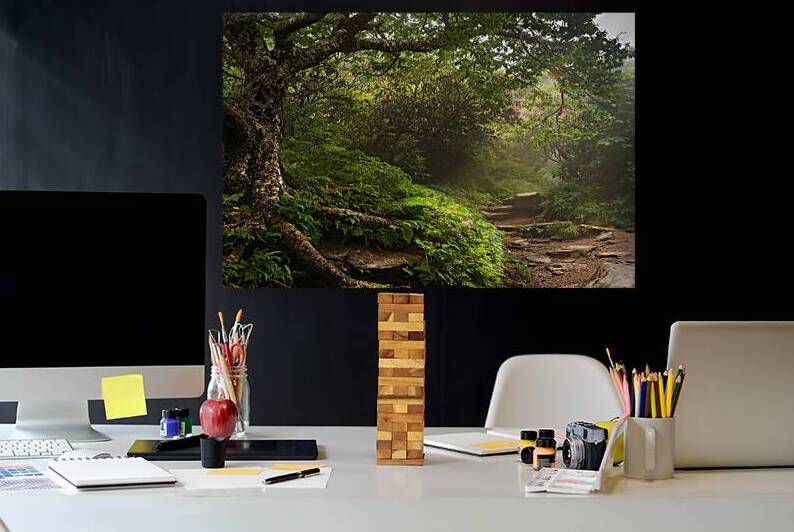 Trail of Dreams by Greg Sarver Photography