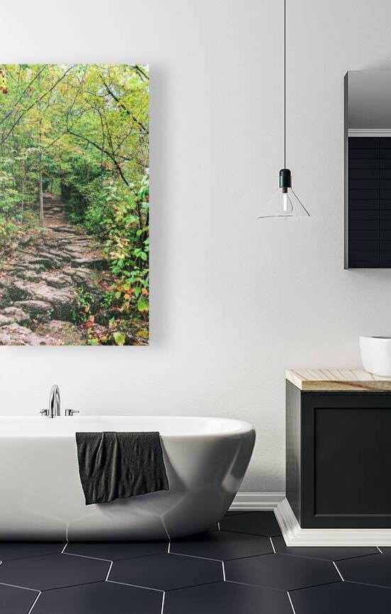 RockyTrail by Neeraj Kumar