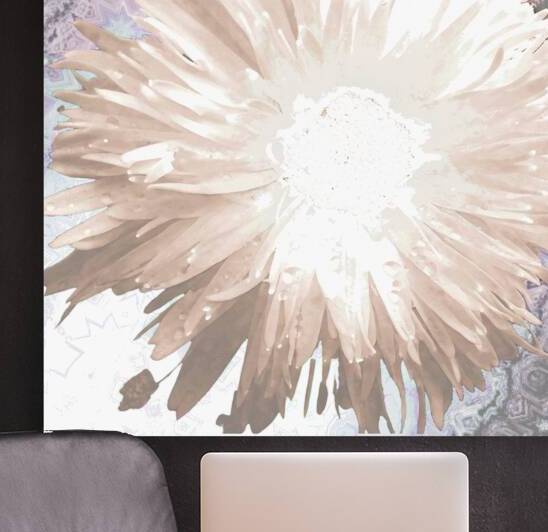 Abstract Daises Light by Catriona Roberts Nature Photography and Designs