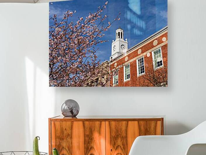 Cherry blossoms frame the facade of the Delaware City Hall in Oh by Steve Heap