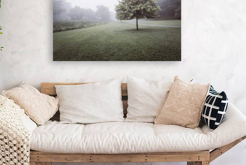 A Foggy Green and White Morning by Jason Fink