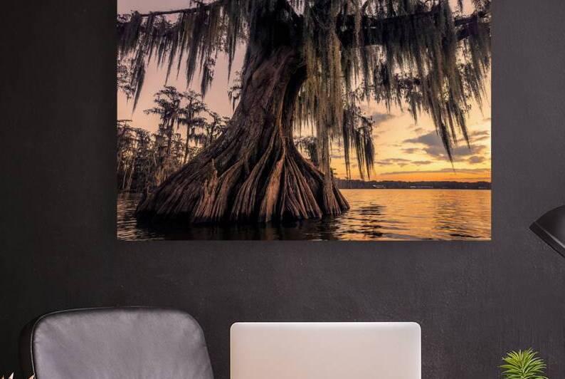 Mary in the Morning by Andy Crawford