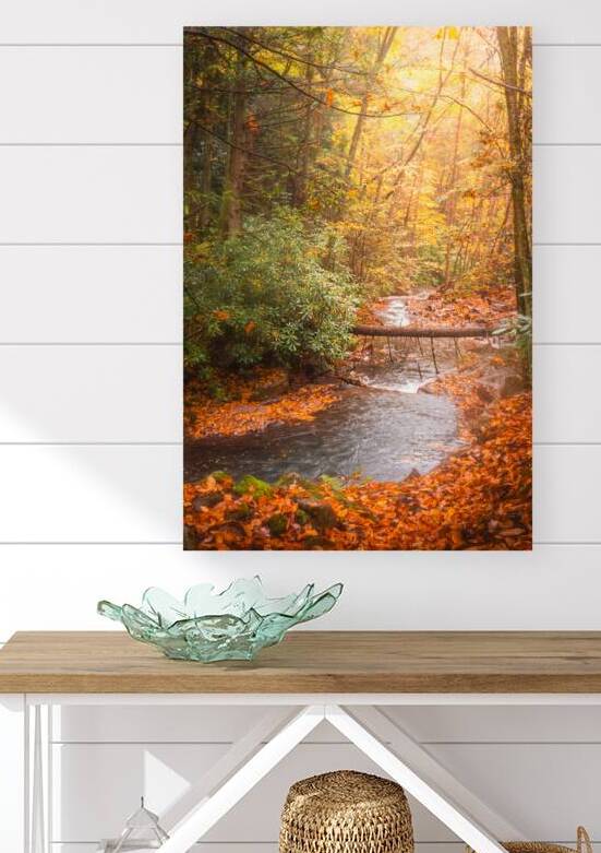 Autumn View Down Buck Mountain Creek by Jason Fink