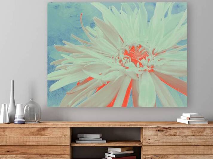 Abstract Vibrant Daisy Too by Catriona Roberts Nature Photography and Designs