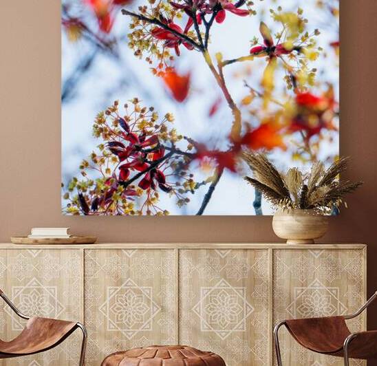 Nature’s Brushstrokes: The Art of Red Maple Blossoms by Heather Marie Clark