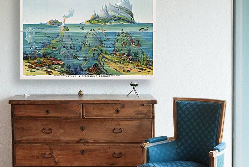 1893 Educational Chart of Marine Biology Illustrating Oceanic Life Forms Habitats and Biological Classifications for 19th Century Scientific Instruction by History In Your Home