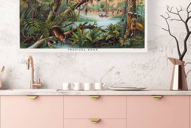 1893 Educational Chart of the Tropical Zone Showing Rainforest Distribution Climate and Vegetation in Equatorial Regions for Scientific Classrooms by History In Your Home